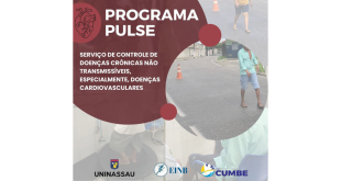 Programa Pulse