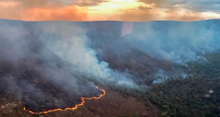 Brasil pegando fogo; salve-se quem puder