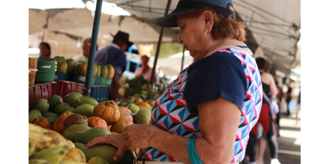 Feira livre