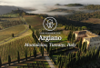 Argiano, Montalcino