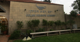 Conheça a Golan Heights Winery, líder na produção de vinhos em Israel