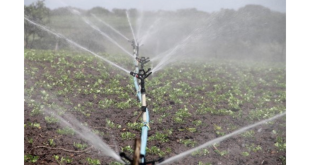 Energisa reforça a importância da atualização cadastral para irrigante