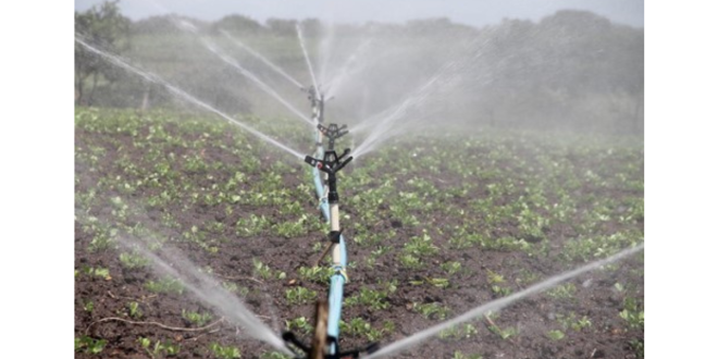 Irrigação, Energisa