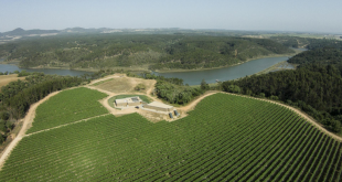 Cortes de Cima: Tradição e herança no coração do Alentejo