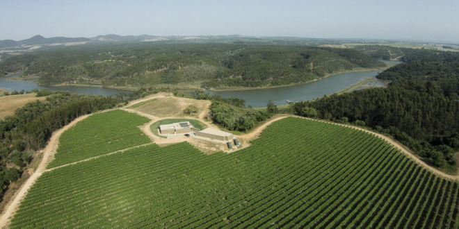 Vinhos Cortes de Cima